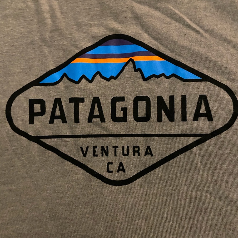 Patagonia tshirt